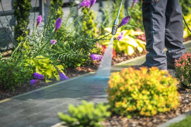 Best Driveway Pressure Washing  in Ladson, SC